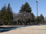 狭山稲荷山公園の写真のサムネイル写真6