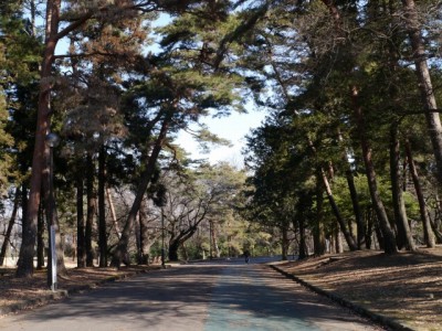 狭山稲荷山公園の写真7