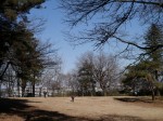 狭山稲荷山公園の写真のサムネイル写真8