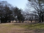 狭山稲荷山公園の写真のサムネイル写真14