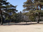 狭山稲荷山公園の写真のサムネイル写真15