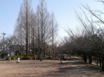 見沼代用水元圦公園の写真のサムネイル写真6