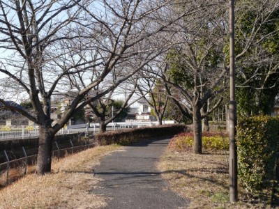 見沼代用水元圦公園の写真8