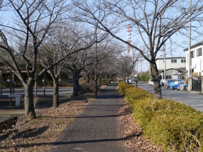 見沼代用水元圦公園の写真12