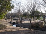 見沼代用水元圦公園の写真のサムネイル写真17