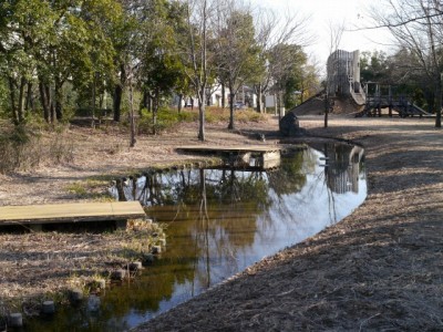 見沼代用水元圦公園の写真18