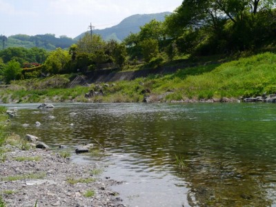 秩父瀬神流パークの写真11