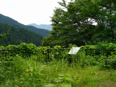 西神山森林公園の写真
