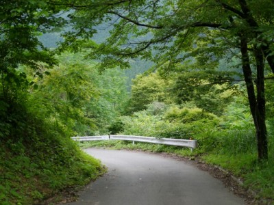 西神山森林公園の写真5
