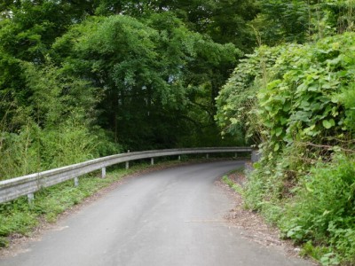 西神山森林公園の写真7