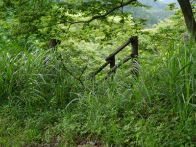 西神山森林公園の写真9