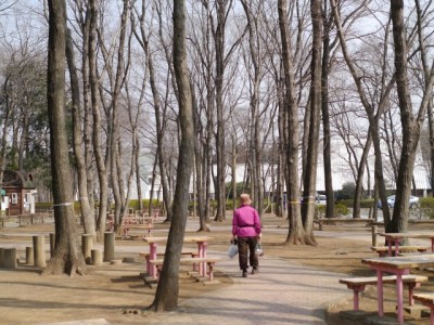 埼玉県農林公園の写真3