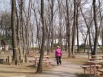 埼玉県農林公園の写真のサムネイル写真3