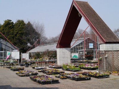 埼玉県農林公園の写真9