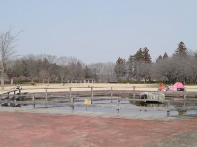 埼玉県農林公園の写真10