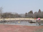 埼玉県農林公園の写真のサムネイル写真10