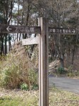 埼玉県農林公園の写真のサムネイル写真12