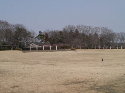 埼玉県農林公園の写真13