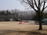 埼玉県農林公園の写真のサムネイル写真14