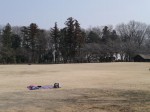 埼玉県農林公園の写真のサムネイル写真15