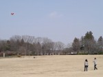 埼玉県農林公園の写真のサムネイル写真16