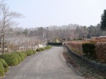 埼玉県農林公園の写真のサムネイル写真24