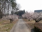 埼玉県農林公園の写真のサムネイル写真31