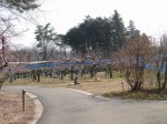 埼玉県農林公園の写真のサムネイル写真33