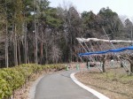 埼玉県農林公園の写真のサムネイル写真34