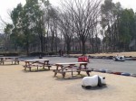 埼玉県農林公園の写真のサムネイル写真35