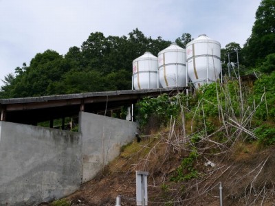 登谷高原牧場の写真