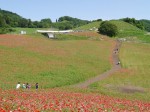 天空を彩るポピーまつりの写真のサムネイル写真30