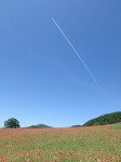 天空を彩るポピーまつりの写真のサムネイル写真39