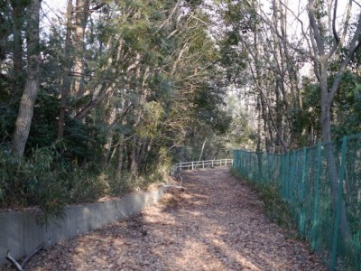 正法寺 六面幢の写真4