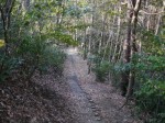 正法寺 六面幢の写真のサムネイル写真6