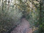 岩殿観音（正法寺）の写真のサムネイル写真2