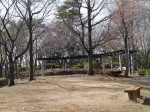 物見山公園の写真のサムネイル写真5