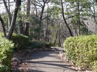 物見山公園の写真12