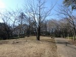 物見山公園の写真のサムネイル写真19