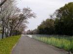 若泉運動公園の写真のサムネイル写真3