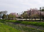 本庄ふるさとフラワーパークの写真のサムネイル写真4