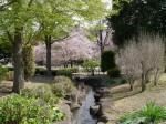 本庄ふるさとフラワーパークの写真のサムネイル写真14