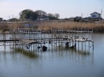 山ノ神沼の写真のサムネイル写真38