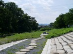 槻川親水公園の写真のサムネイル写真6