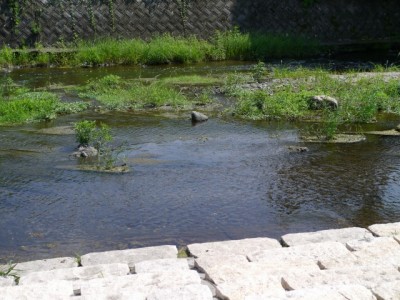 槻川親水公園の写真7