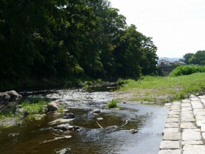 槻川親水公園の写真12