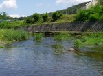 槻川親水公園の写真のサムネイル写真14