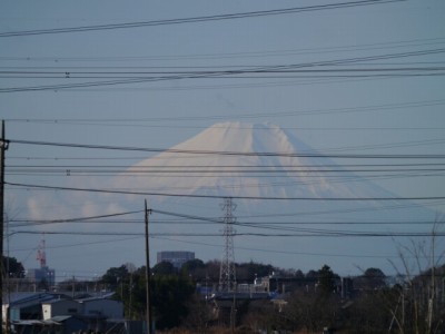 しらこばと水上公園の写真