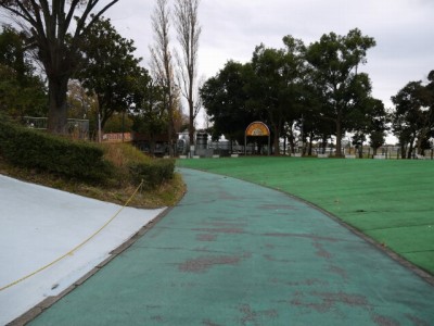 しらこばと水上公園の写真10