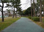 しらこばと水上公園の写真のサムネイル写真11